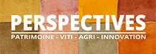 Logo Perspectives