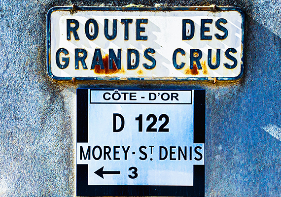Route des grands crus en Côte d'Or