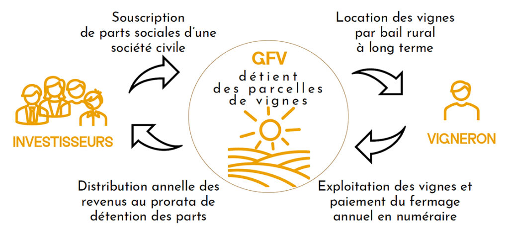 Schéma explicatif d'un GFV